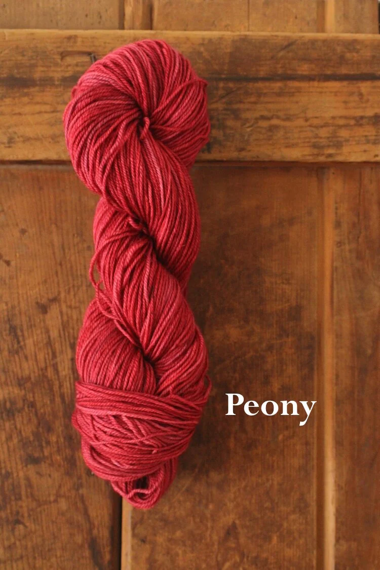 BFL BFF - Light Worsted Weight — Ewetopia